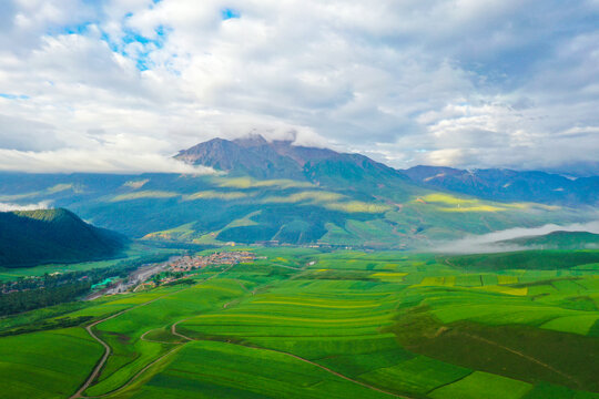 卓尔山