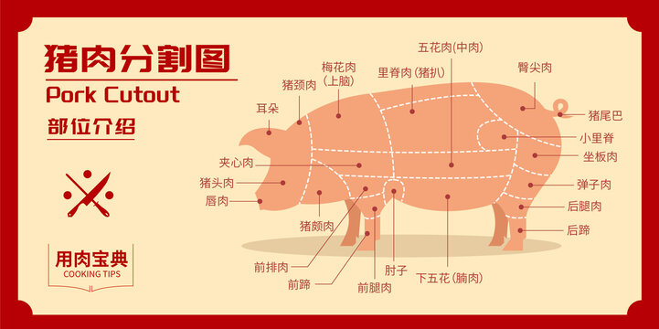 猪肉部位图