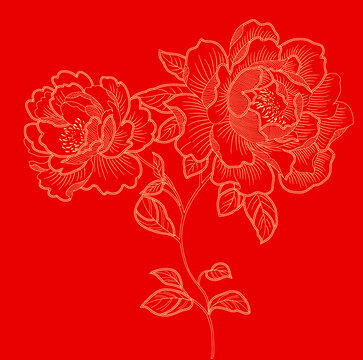 线描牡丹花
