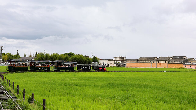 稻田里的小火车
