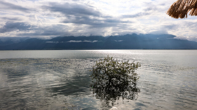 洱海