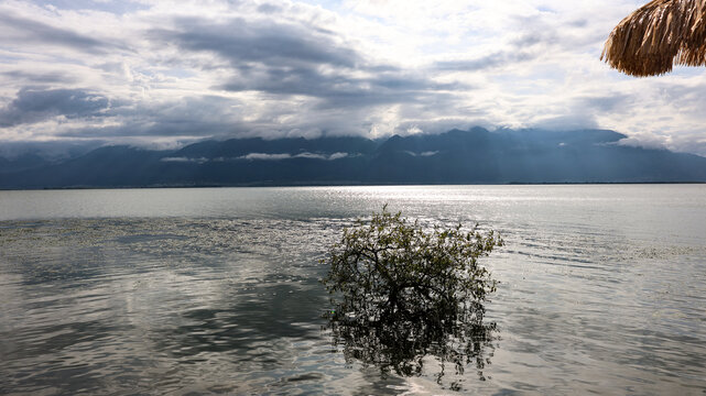 洱海