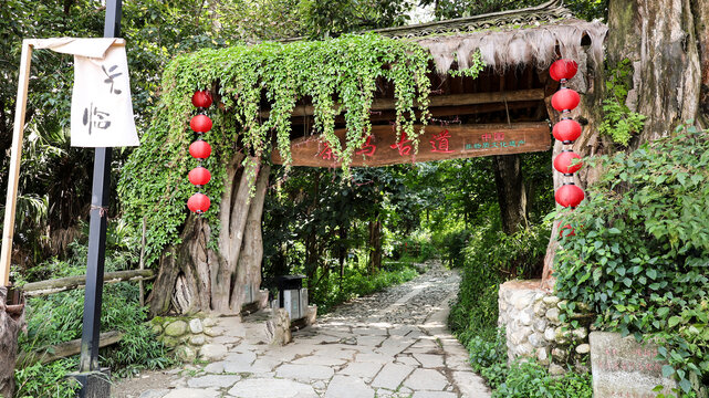 茶马古道