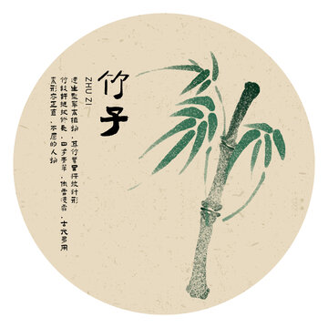 水墨国风竹子科普手绘插画