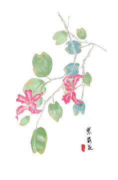 古风紫荆花