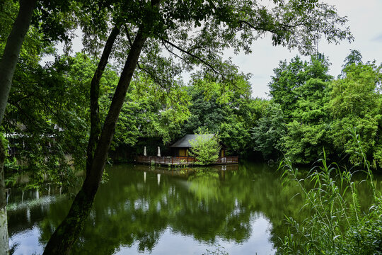杭州西溪国家湿地公园风光