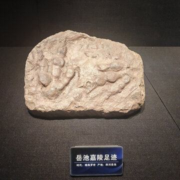 岳池驾龄足迹