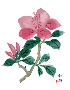 古风杜鹃花