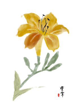 古风萱草