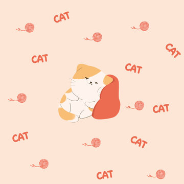 懒猫