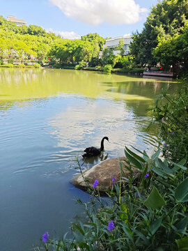 福州黎明湖公园