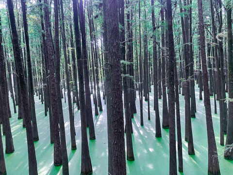 临安青山湖