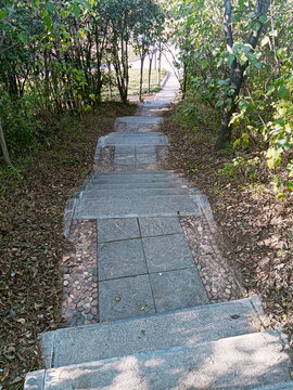 邯郸赵苑公园