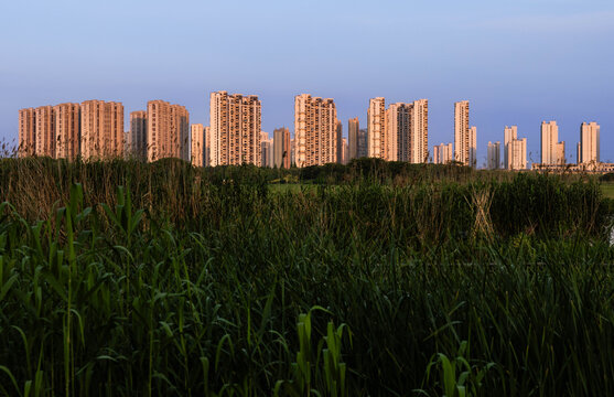 湖岸建筑