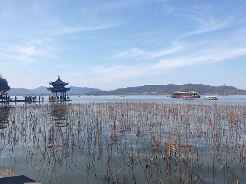 西湖风景湖泊亭子