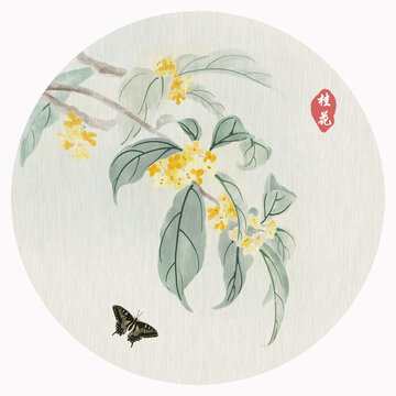 桂花国画