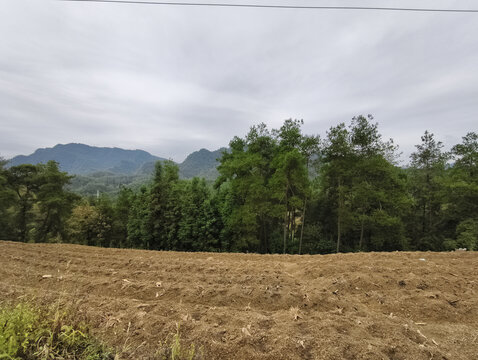 山地与远山