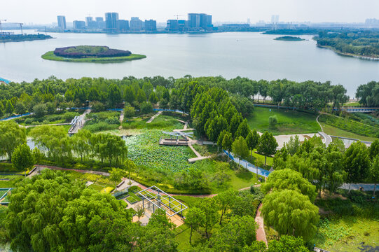 航拍郑州北龙湖湿地碧绿荷塘荷叶