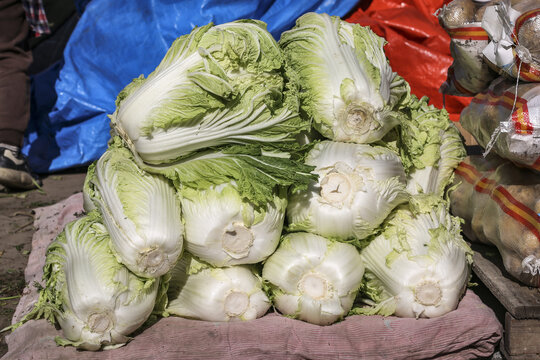 大白菜