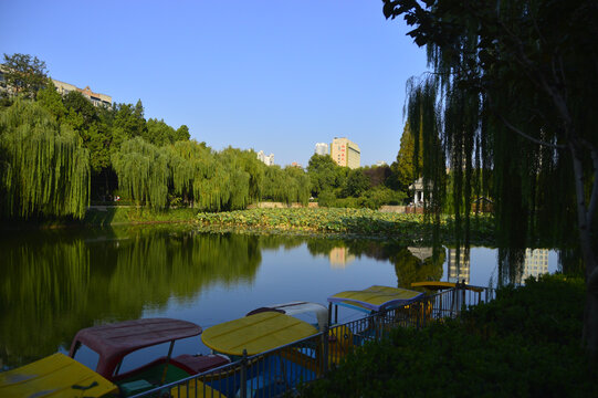 秋天公园