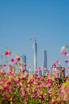 花城广州塔