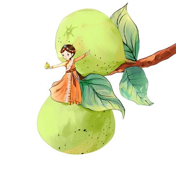 藏族梨子