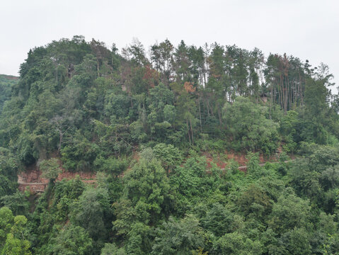 山顶公路