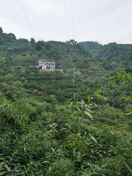 山上人家