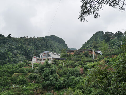 山上的小川西楼房