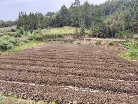山里的农田