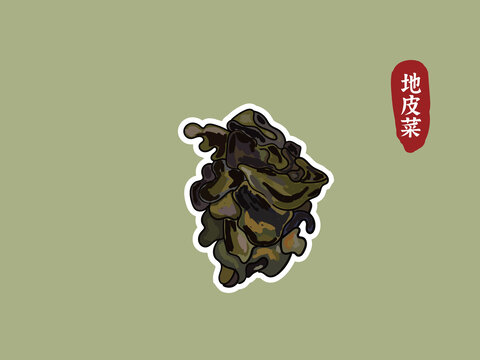 手绘地皮菜