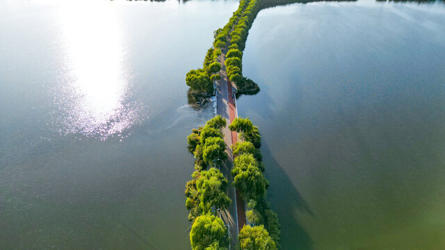 湖中绿道