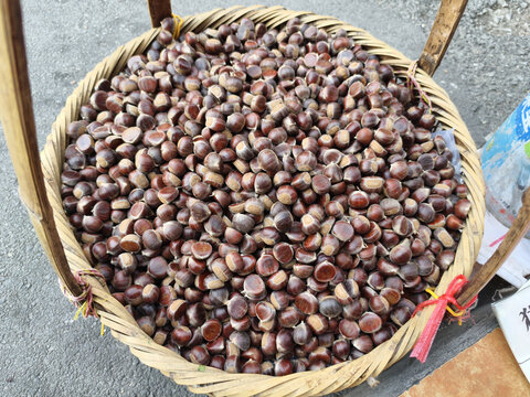 一篮子板栗