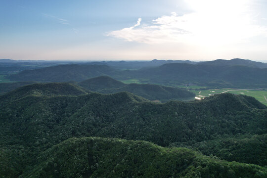 山峰树林