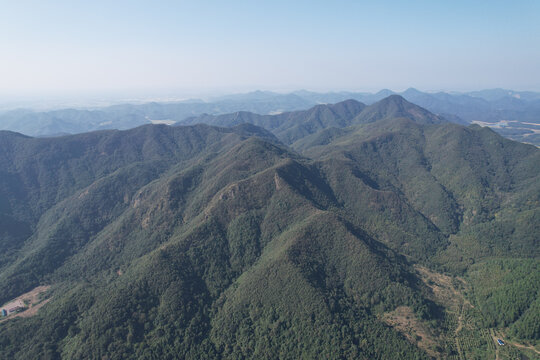 山峰树林