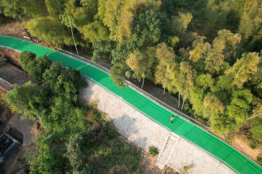 森林公园跑道
