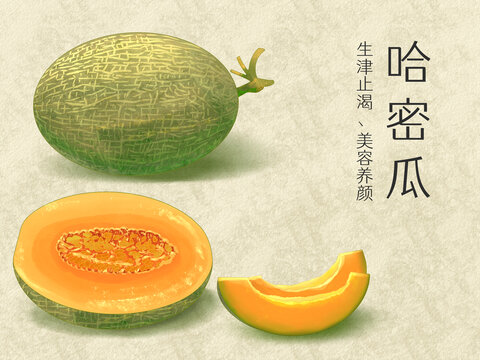 手绘水彩水果哈密瓜插画