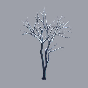 落雪树枝