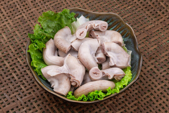 生肠