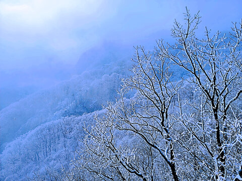 洛阳老君山