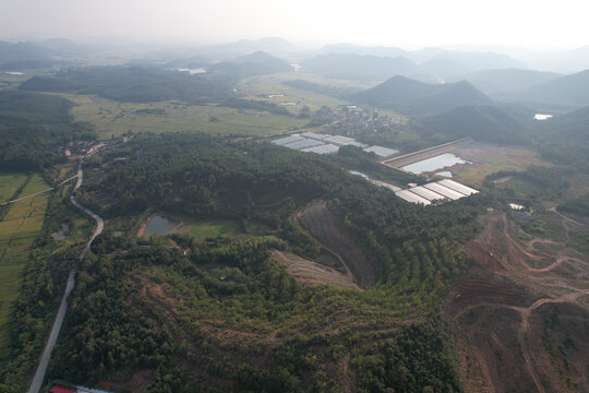 山林