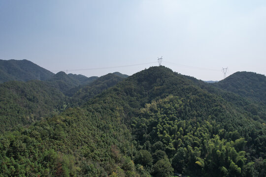 森林植被电塔