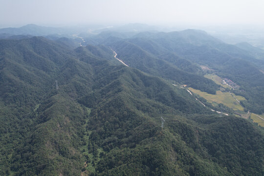 山林