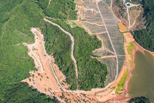 蓝莓基地航拍