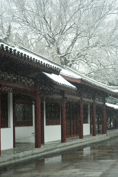 雪中古建筑