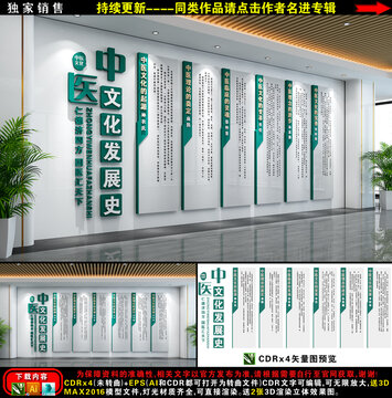 中医发展史文化墙