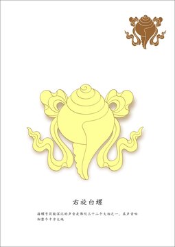 八吉祥之右旋白螺