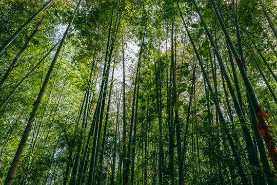 赣州龙南南武当山