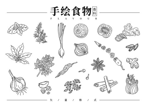手绘香料线稿