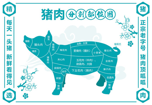 猪肉分割图
